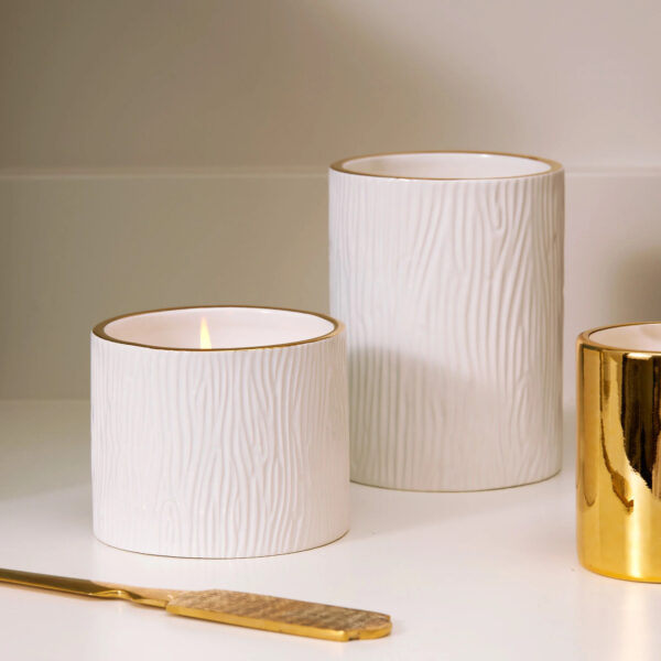 Frasier Fir Ceramic Medium Candle Set by Thymes